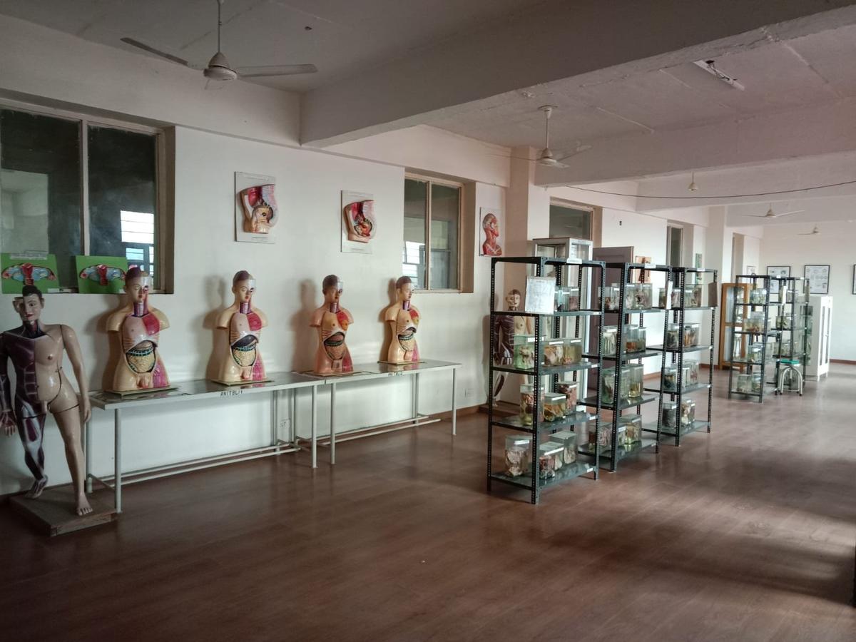Hospital & College at a Glance — photo 14 at The White Medical College & Hospital