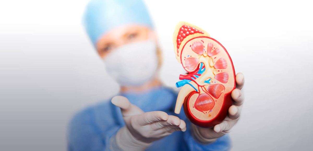 Nephrology & Renal Sciences